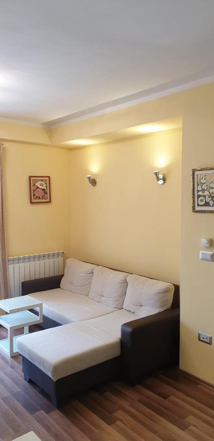Apartmán Lili Novigrad Istria Exteriér fotografie
